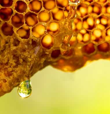Apis Arabian Pearls
